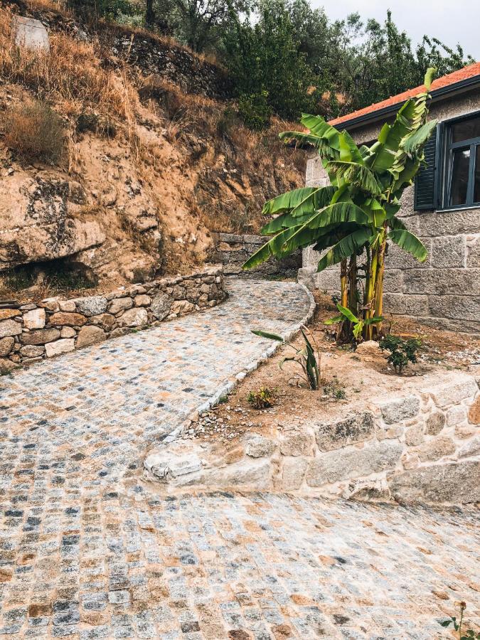 Quinta Do Fojo Valonguinho, Barro Bed & Breakfast Barro  Exterior photo